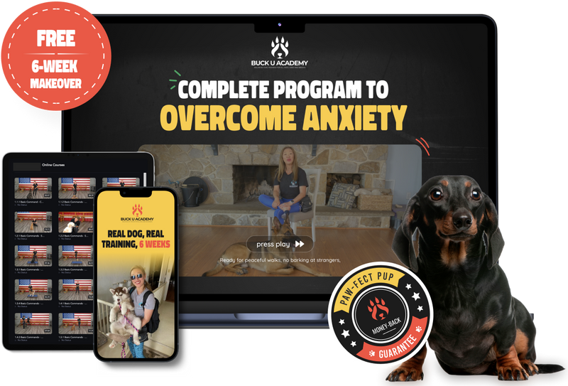 The 'Overcoming Anxiety' Bundle